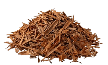 Indian Kino Natural Herb